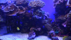 Summer Vixen Maui Part 3